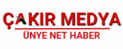 Kaynak Logo